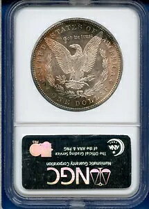 1882 P NGC MS64 ���[�K�� �V���o�[ �_���[ $1 �č������� 1882-P MS-64 ���j�[�N�ȃ^�u�g�[��!