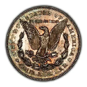 1878-S $1 K h - ~g G[ XgbN X[ - PQ g[jO - NGC MS 64 - D5174