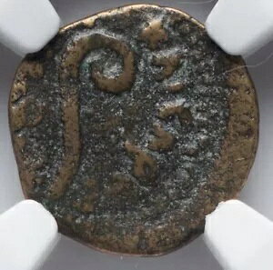 NGC Ch F�ACHOICE FINE �|���e�I�E�s���g�A���� 26 �` 36 �N�A���_�����C�G�X �����R�C��