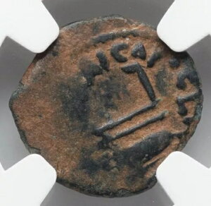 NGC Ch F�ACHOICE FINE �|���e�I�E�s���g�A���� 26 �` 36 �N�A���_�����C�G�X �����R�C��