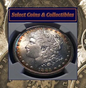 1885-P [K Vo[ _[ NGC MS 64 HOT-50 VAM-1A1 sbgto[X GbW gi[!