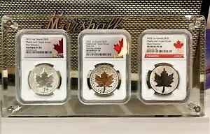 3 Obh ANACS/NGC/PCGS NX^ AN fBXvC t[ veN^[ ̌^X^ht