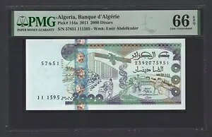 AWFA 2000 fBi[ 2011 P144a 񗬒ʃO[h 66