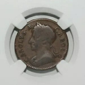 1675 �C���O�����h 1/4 P �t�@�[�W���O NGC VG 10 BN