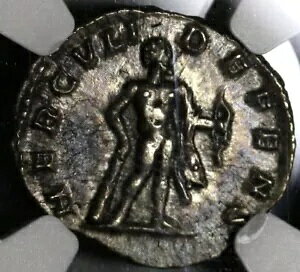 197 NGC XF ZveB~EX ZEFX [}鍑 fiEX wNX CI XL (20012904C)