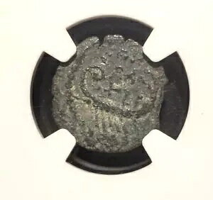 NGC �F�؍ς� VF �w���h�E�A���P���E�X�B�I���O 4 �N - �I���� 6 �N�B? �v���^�B�󏭃^�C�v