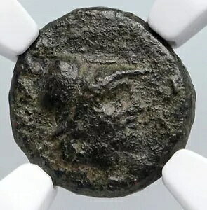 KALLATIS MOESIA {̌Ñ 300-200BC MV RC ATHENA &  NGC i90593