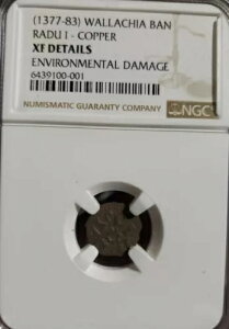 ���h�D I�AAD 1377-1783�A�����L�A�����֎~�ANGC XF Det