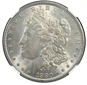 1880 NGC AU55 VAM 1a2 ���[�K�� �V���o�[ �_���[ �m�u�h 8 �g�b�v 100 ������! 24606