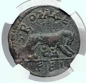 MACRINUS 本物の古代ラオデキア広告マーレローマコイン SHE WOLF TWINS NGC i81323