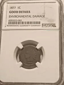 1877 1 �Z���g �C���f�B�A�� �w�b�h NGC �O���[�h�̖{���̊��_���[�W - G �ڍ�