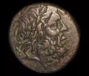 �t�@���i�P�C�A�A�~�g���_�e�X VI �I���O 85 �` 65 �N���̃|���g�X AE24 (�Ñ� Ch VF-NGC)
