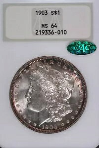 1903 [K MS _[ NGC MS64 CAC GEN 4 FATTYAÂt@bgz_[