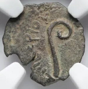 NGC Ch F CHOICE FINE �|���e�B�E�X �s���g 26-36 AD ���_�� �{���̃C�G�X �����R�C��