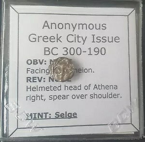 M427# �����M���V���s�s�Z���Q���s�̋�݁A�I���O 300 �` 190 �N