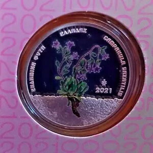 MVA2021AMV t[ V[YAJpj ()A5 [