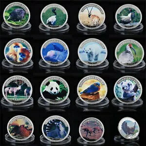 16 ̐E݃VN} RA u[o[hی상_