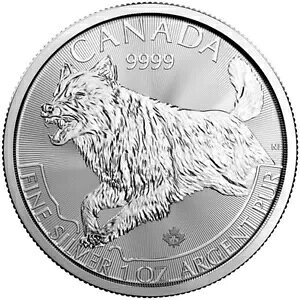 2018 1 IX JifBA Vo[ Et vf^[ V[Y RC