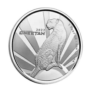 2022 J[ 1IX Vo[ 500 t CFA `[^[ PL