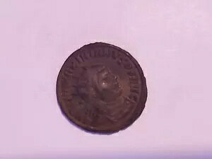 [}鍑 ar19 AgjjAkX TjkX̃RC Ws^[ & 