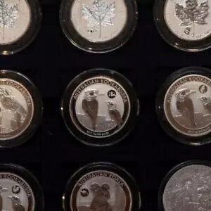 2017 I[XgACJZ~ vCx[g RC BU