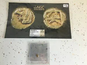 NGC XF �C�I�j�A �t�H�J�C�A c.625-522 BC EL 1/24 �X�^�[�^�[ �I�u�u �O���t�B�� HD�B���u�E�C���L���[�Y