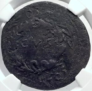 AUGUSTUS {̌Ñ 16BC [} ZXeeBEX̋ȃIWi [} RC i81738