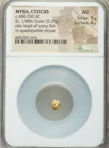 ~VAALWJX 1/48 Xe[^[ ^j[ wbh NGC AU 5/4 Ñ