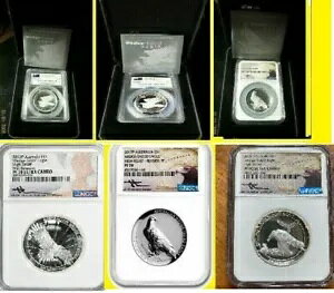 2014,15,16,17,18,19 ウェッジテイルドイーグル ハイリリーフ 6コイン PCGS NGC PF70 3BoxCoa