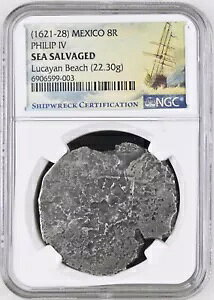 1621-28 tFy 4  LVRVeB Vo[ 8 AX J r[` CjD NGC