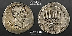 �A�E�O�X�g�D�X�A�A�[�J���\�[�B �V�X�g�t�H���X ����ȃt���� �G�t�F�\�X NGC Ch VF 5/5 2/5 - �I���O 27 �N�`���� 14 �N�B 75