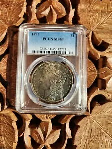 1897 ���[�K�� �V���o�[ �_���[ PCGS MS64 �f���炵�����F