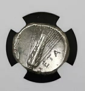 c.330-280 BC LUCANIAAMETAPONTUM AR Xe[^[ (7.9 gr) ~ NGC Choice XF Ȃ