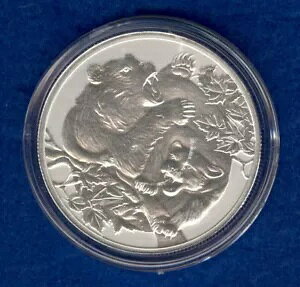 2022 �j�E�G $1 �A�y�b�N�X �v���f�^�[�Y: �N�[�K�[ vs �x�A 1 �I���X �V���o�[ �R�C��