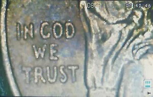 Cod We Trust 2022 lV[Ỹbg 4 ɂ܂ȃ~g G[