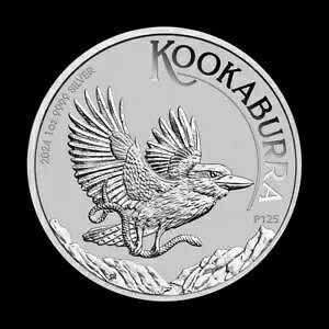 2024 1 IX Vo[ I[XgACJZ~ GEM BU RC p[X ~g .9999 t@C #5