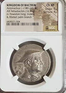�o�N�g���A �A���e�B�}�R�X �e�g���h���N�} NGC CH XF �Ñ���