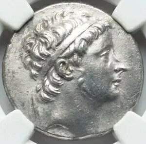 �Z���E�R�X���� �Z���E�R�X II �J���j�N�X �A�|�� NGC AU FineStyle �Ñ�R�C�� 157