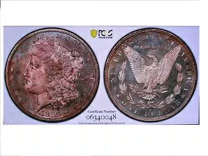 1882-S [K h 64 DMPL VAM 17 _ufCg S/S fB[v JI 2x g[ PCGS