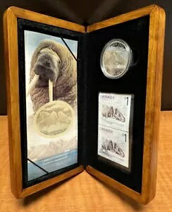 2005 Ji_ XyV GfBV 5 h㎿݂Ɛ؎Zbg - ZCE`Ǝq