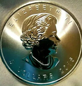 2015 Ji_Y[v [t .9999 ̋PRCAJvZAf炵łB