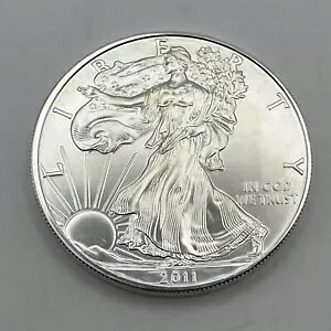 2011  ~g}[NȂ 1 IX ăh AJ Vo[ C[O RC n