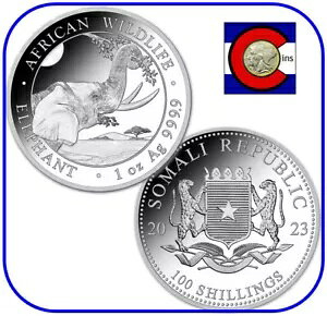 2023 �\�}���A (�\�}���A���a��) �� 1 �I���X��� �J�v�Z������