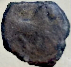 �󏭂ȌÑ�P���g�R�C�� 100BC �I�u���R�E�g�D���f�^�j�l �C�x���A�̗Y�� �{��