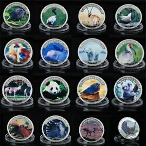 16 ̐E݃VN} RA u[o[hی상_