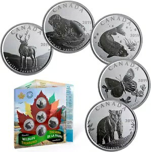 2019 Ji_̖쐶̕ 50 Zgd 5 MtgZbg