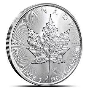 2024N 1IX Ji_ [v[t (BU)