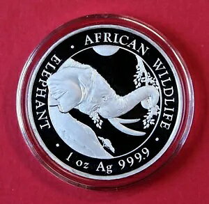 2023N  - AtJ쐶V[Y 1IX Vo[ GA^CgLbvt - 