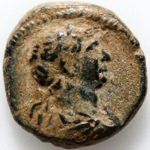���[�}�R�C�� AE �A���e�B�I�L�A �g�����k�X 1 �� �p�e��-(�E���V�A?)�A1.35gr-11mm