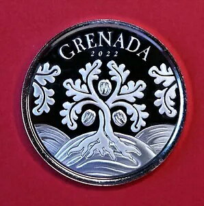 2022NOi_ icOc[ 1IX Vo[ BUdグ rj[tbvt[